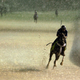 Illustration for article titled Images From The 140th Kentucky Derby